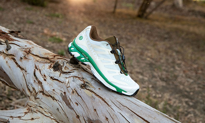 hidden ny x salomon xt 4