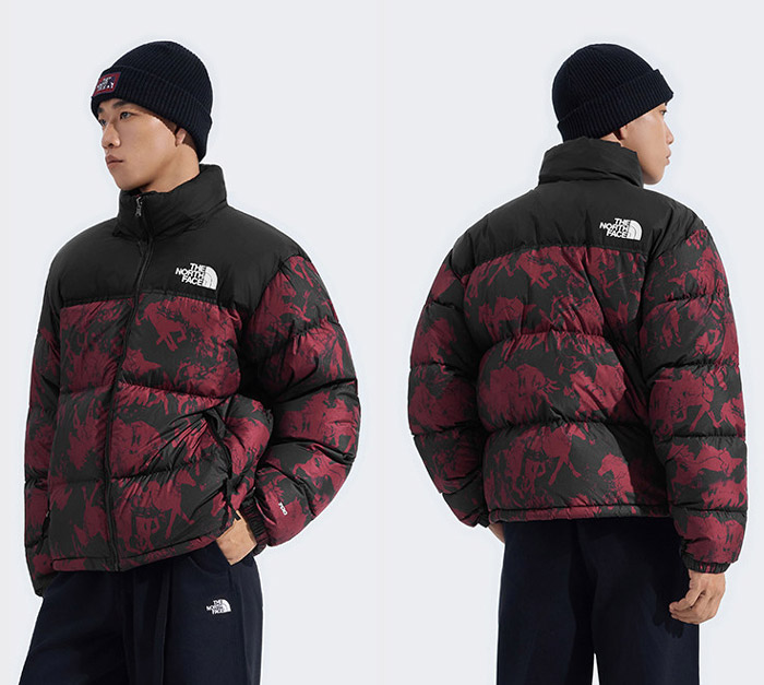 北面2026马年限定鹅绒羽绒服登场 李昀锐诠释新春探索型格图片5