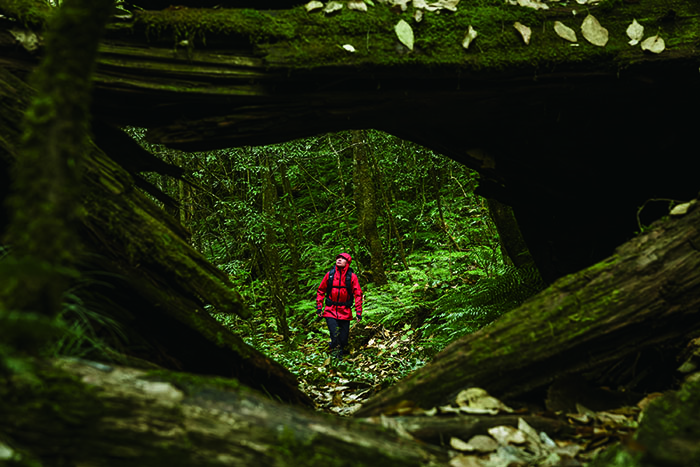 Columbia 2026全新TITANIUM钛金系列重磅登场图片1