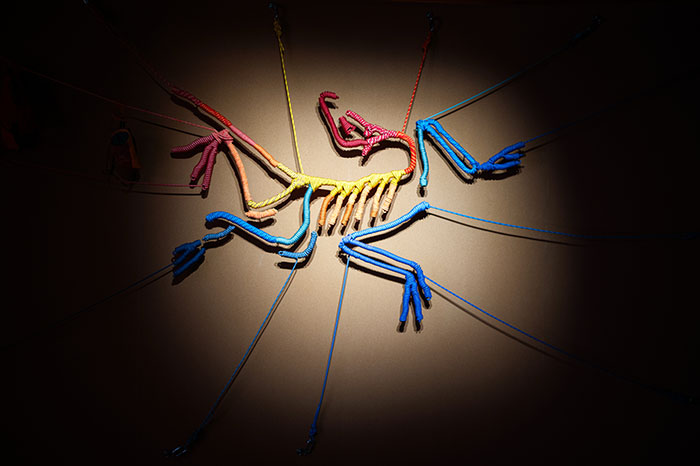 始于山，归于人：始祖鸟博物馆全新匠心造物主题展5月1日登陆上海图片7